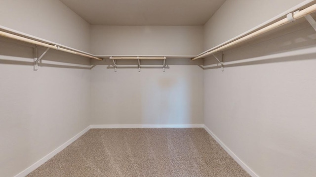 4019 Illian Cv, Killeen, TX 76542 - spacious closet with carpet flooring