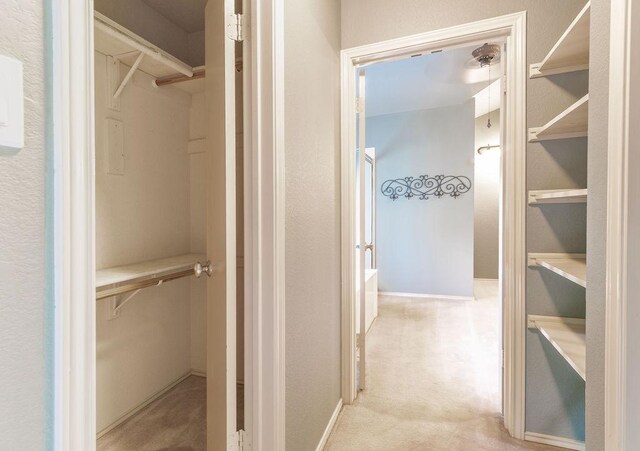 8006 Monona Ave, Austin, TX 78717 - photo 25