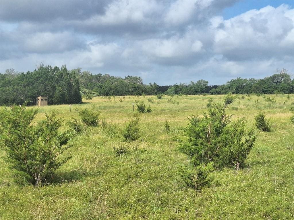1495 County Road 281st Rd, Leander, TX 78641