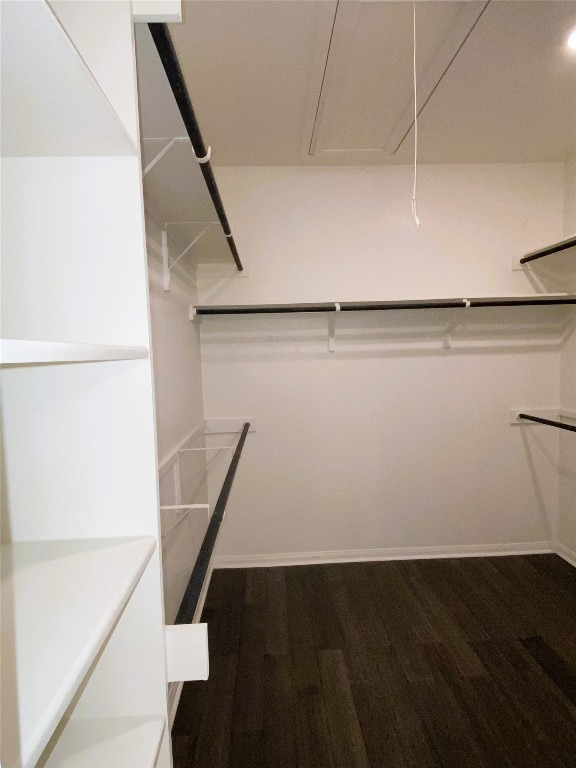 19024 Fernando Trl, Austin, TX 78738 - spacious closet featuring attic access and dark wood-type flooring