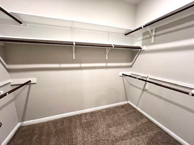 232 Serpens St, Georgetown, TX 78628 - spacious closet with carpet flooring