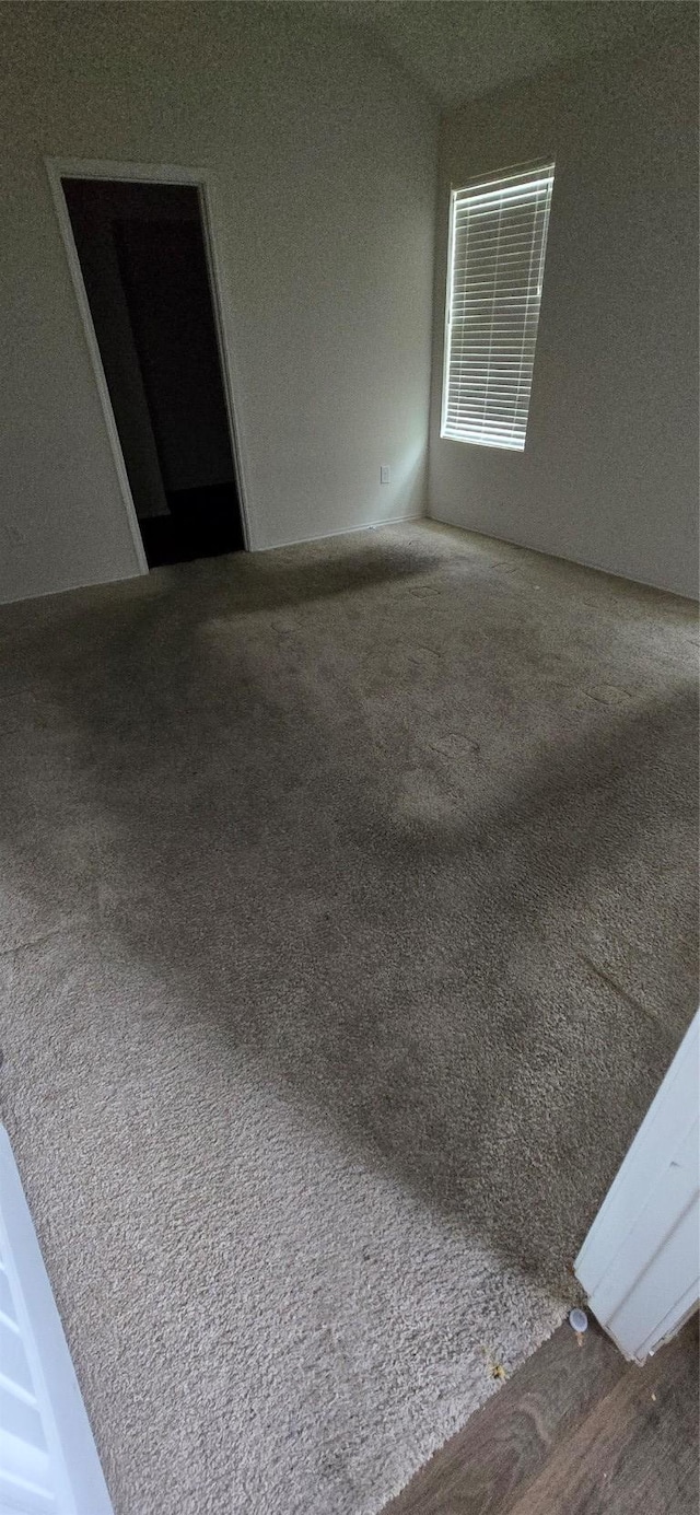 12008 Roving Pass, Elgin, TX 78621 - empty room with carpet floors