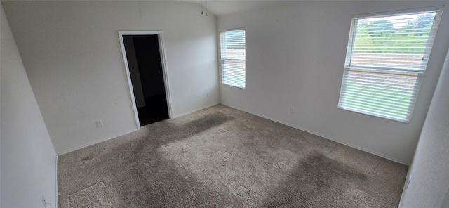 12008 Roving Pass, Elgin, TX 78621 - carpeted empty room with healthy amount of natural light