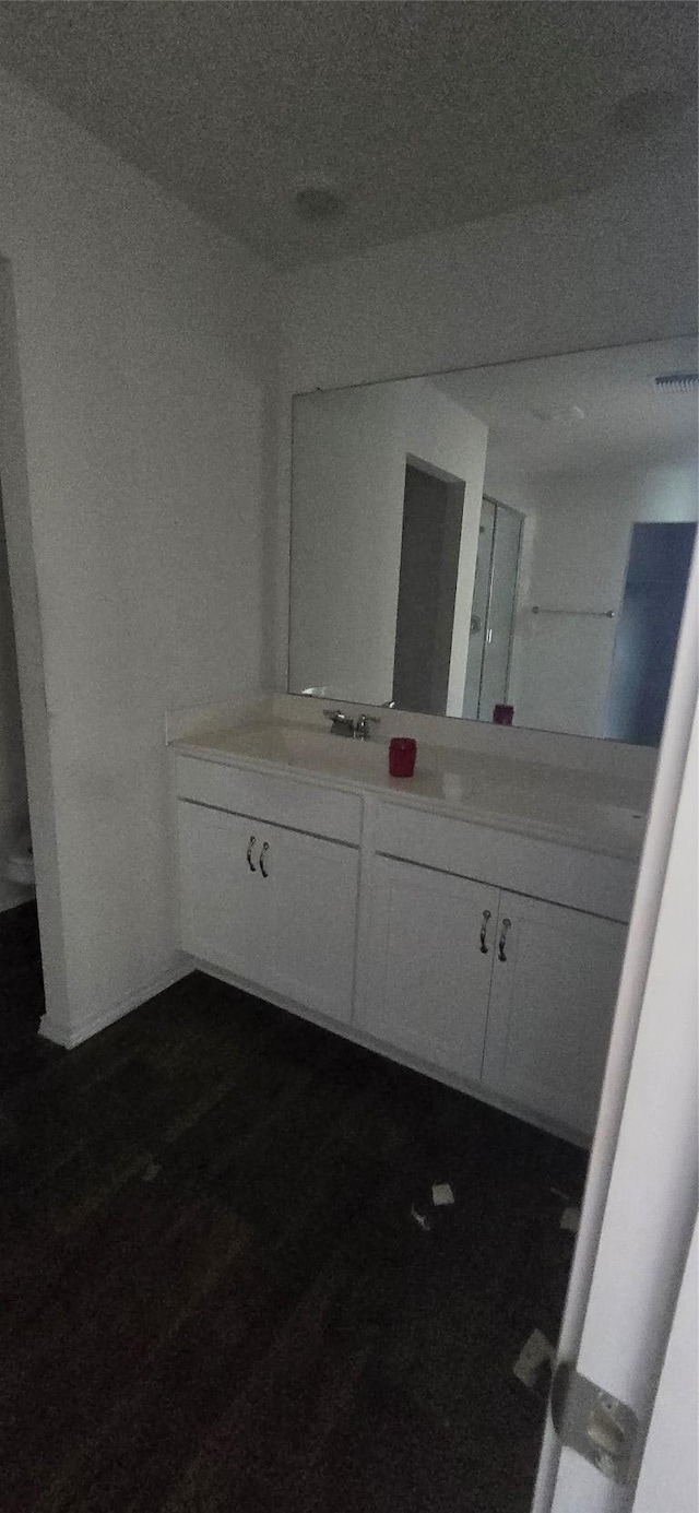 12008 Roving Pass, Elgin, TX 78621 - bathroom featuring vanity