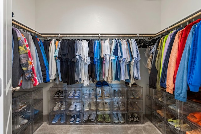 121 Rubrum Rd, Kyle, TX 78640 - view of walk in closet