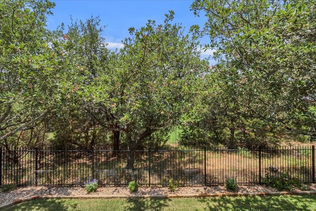 167 Limestone Trl Unit 76, Austin, TX 78737 - view of yard