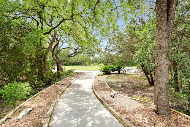 150 Story Dr, Buda, TX 78610 - photo 2