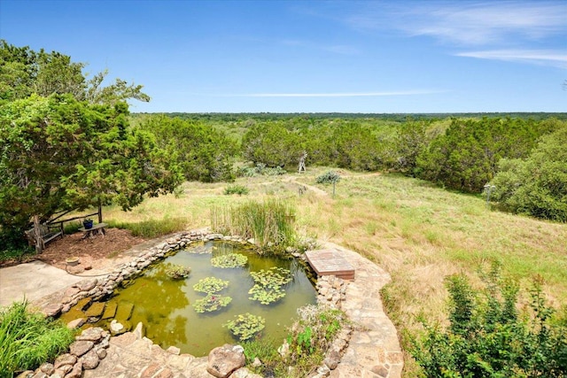 150 Story Dr, Buda, TX 78610 - photo 23