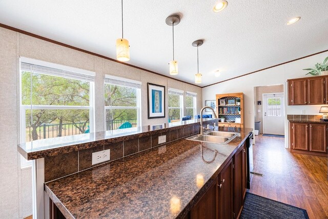 231 Wolf Run, Burnet, TX 78611 - kitchen with a sink, ornamental molding, lofted ceiling, dark wood-type flooring, and a textured ceiling