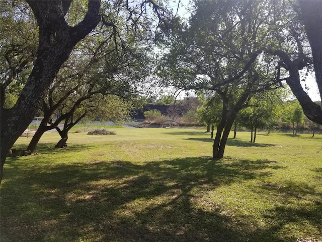 231 Wolf Run, Burnet, TX 78611 - view of grassy yard