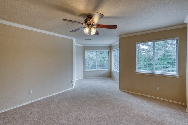6429 Clay Allison Pass, Austin, TX 78749 - empty room featuring a ceiling fan, crown molding, carpet, a textured ceiling, and baseboards
