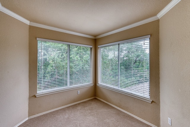 6429 Clay Allison Pass, Austin, TX 78749 - empty room with ornamental molding, a textured wall, carpet flooring, and baseboards