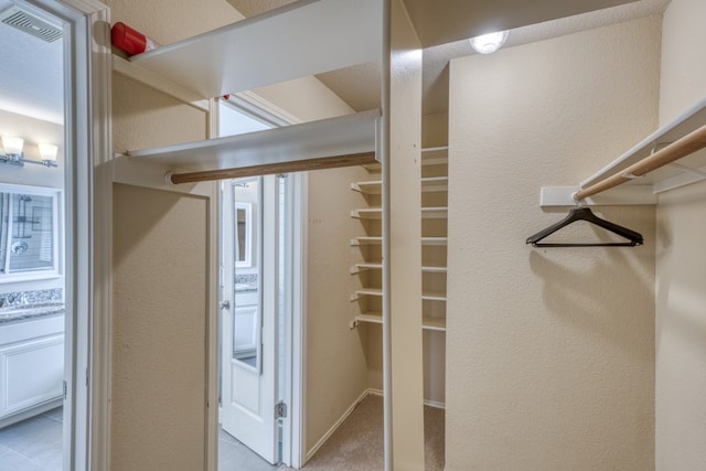 6429 Clay Allison Pass, Austin, TX 78749 - spacious closet featuring light colored carpet