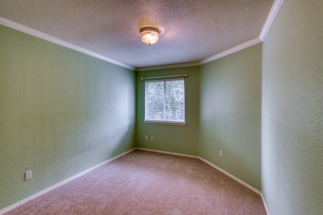 6429 Clay Allison Pass, Austin, TX 78749 - spare room featuring crown molding, a textured wall, a textured ceiling, carpet floors, and baseboards