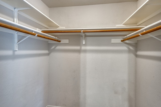 6429 Clay Allison Pass, Austin, TX 78749 - view of spacious closet
