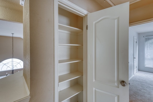 6429 Clay Allison Pass, Austin, TX 78749 - view of closet