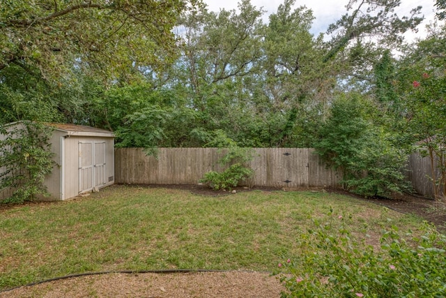 6429 Clay Allison Pass, Austin, TX 78749 - view of yard