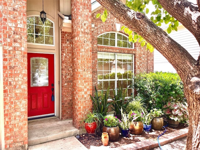 6429 Clay Allison Pass, Austin, TX 78749 - photo 4