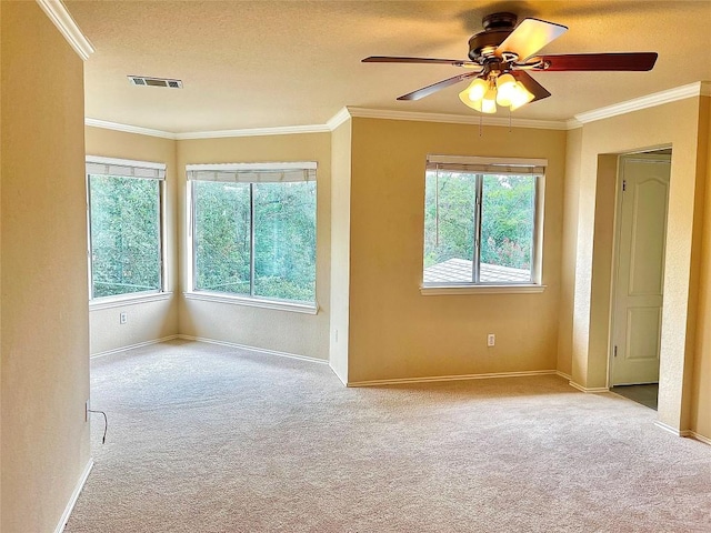 6429 Clay Allison Pass, Austin, TX 78749 - photo 12