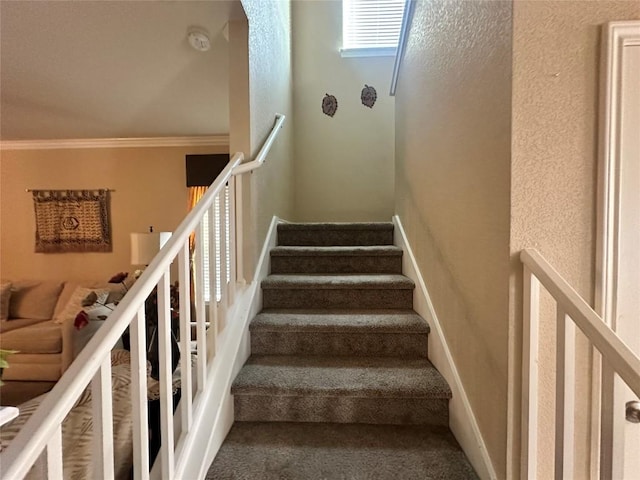 12400 Britannic Dr, Austin, TX 78753 - stairway featuring carpet floors and crown molding