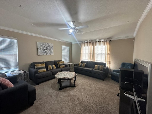12400 Britannic Dr, Austin, TX 78753 - living room with crown molding, carpet, ceiling fan, and a textured ceiling