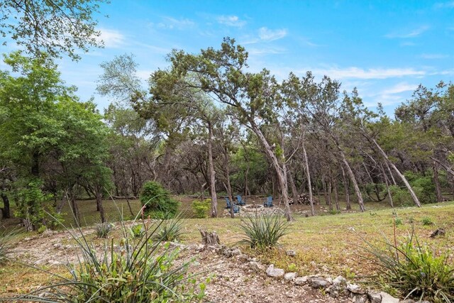 9216 Silver Pine Cv, Austin, TX 78733 - view of yard