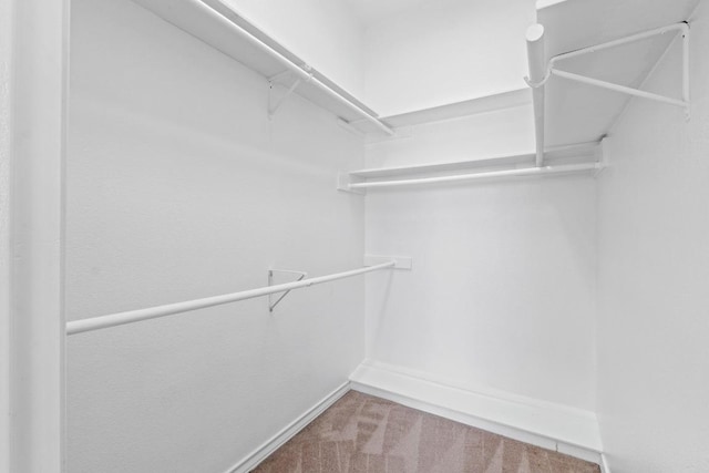 6008 Woodview Ave, Austin, TX 78757 - walk in closet with carpet flooring