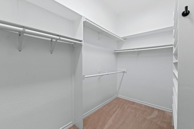 6008 Woodview Ave, Austin, TX 78757 - walk in closet with carpet floors