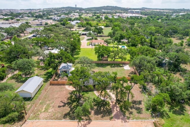 219 S Bluff St, Dripping Springs, TX 78620 - drone / aerial view