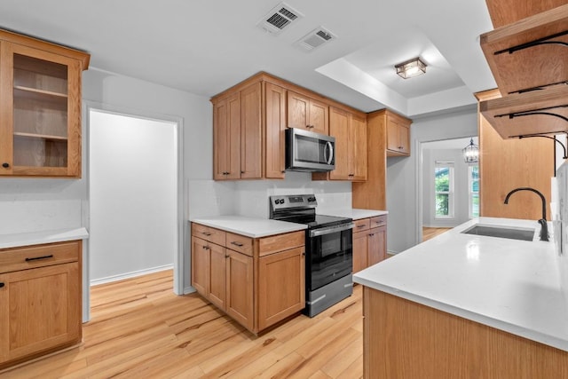 801 Lime Rock Dr, Round Rock, TX 78681 - kitchen with appliances with stainless steel finishes, light wood-style flooring, light countertops, a tray ceiling, and glass insert cabinets