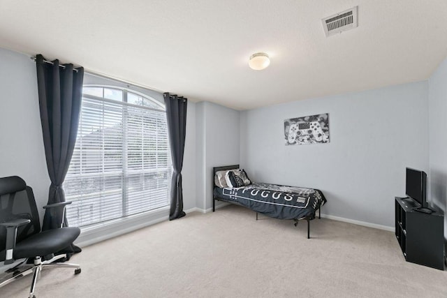 404 Autumn Trl, Georgetown, TX 78626 - photo 23