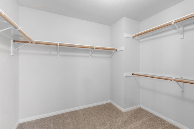 10701 Redmond Rd, Austin, TX 78739 - photo 29
