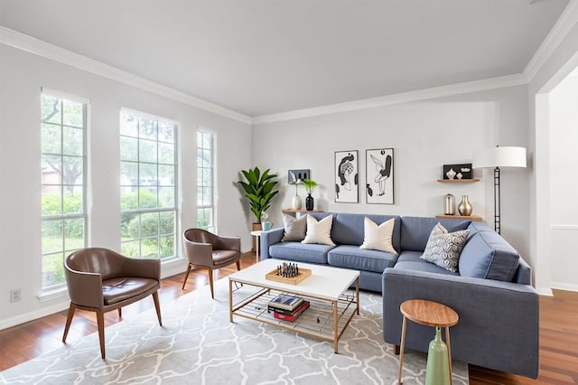 10701 Redmond Rd, Austin, TX 78739 - living area featuring crown molding and wood finished floors