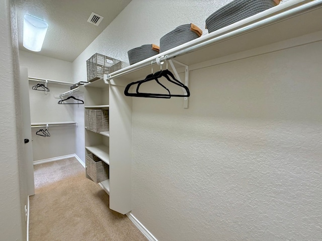 3105 Brand Iron, San Marcos, TX 78666 - photo 14