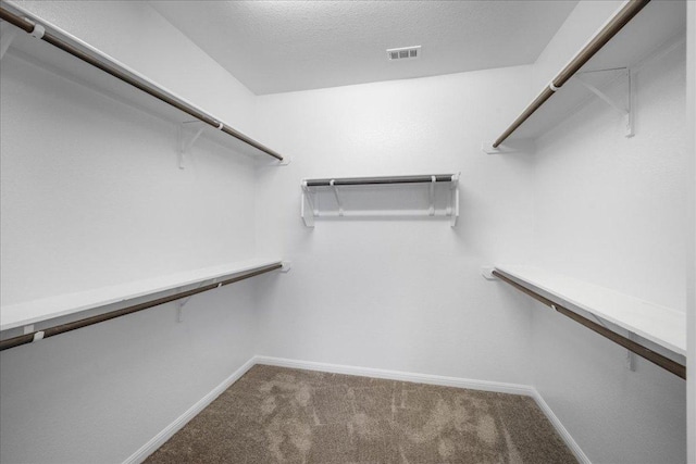 1013 S San Marcos St, Manor, TX 78653 - spacious closet with carpet flooring