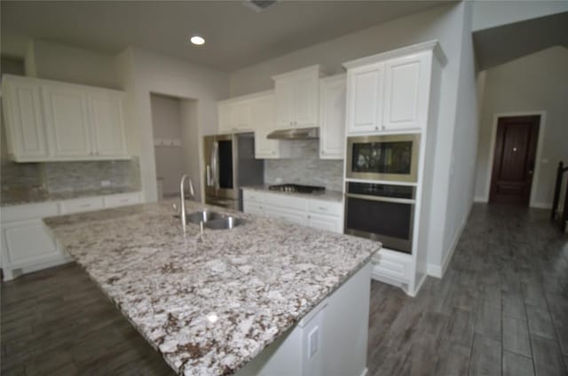121 Bright Valley Way, Austin, TX 78737 - kitchen featuring under cabinet range hood, a sink, stainless steel appliances, tasteful backsplash, and recessed lighting