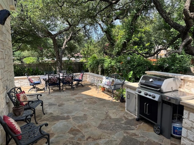 2619 Henley Dr, Round Rock, TX 78681 - fenced backyard featuring outdoor dining area and a patio area