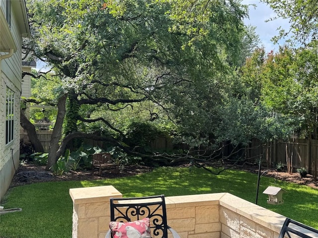 2619 Henley Dr, Round Rock, TX 78681 - view of yard