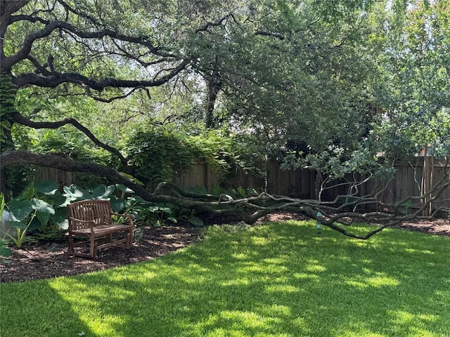 2619 Henley Dr, Round Rock, TX 78681 - view of yard