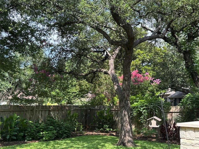 2619 Henley Dr, Round Rock, TX 78681 - view of yard
