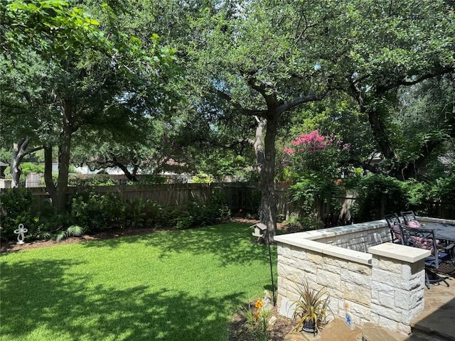 2619 Henley Dr, Round Rock, TX 78681 - view of yard