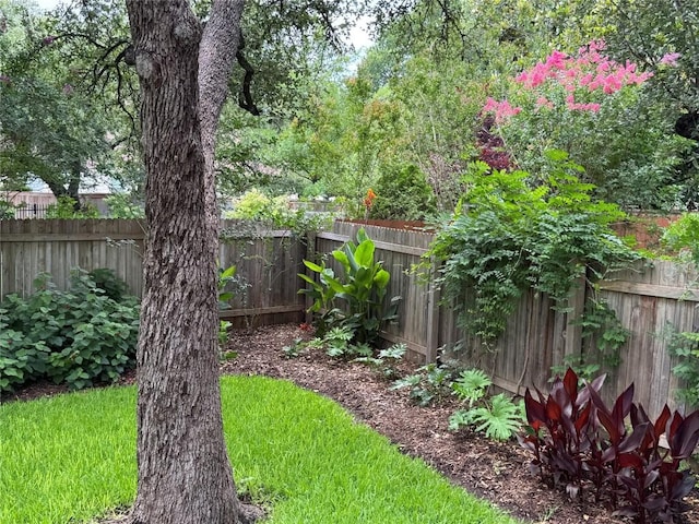 2619 Henley Dr, Round Rock, TX 78681 - view of fenced backyard