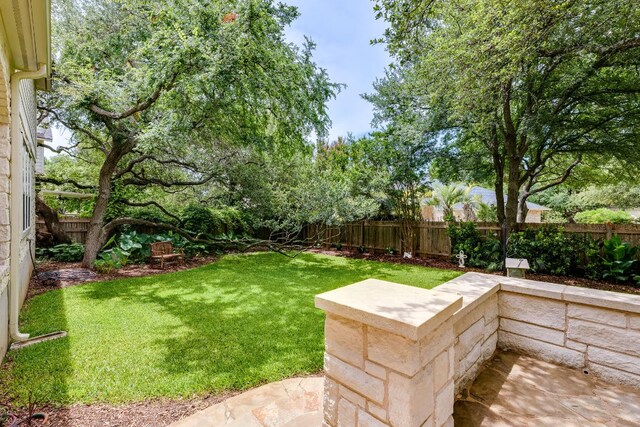 2619 Henley Dr, Round Rock, TX 78681 - fenced backyard with a patio area