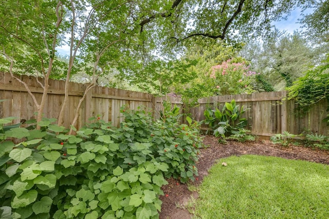 2619 Henley Dr, Round Rock, TX 78681 - view of fenced backyard