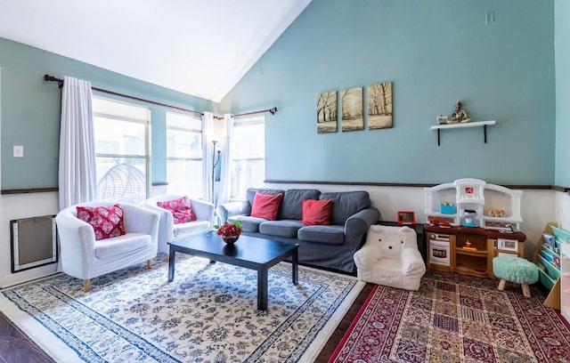 5013 Cleves St, Round Rock, TX 78681 - living room featuring high vaulted ceiling