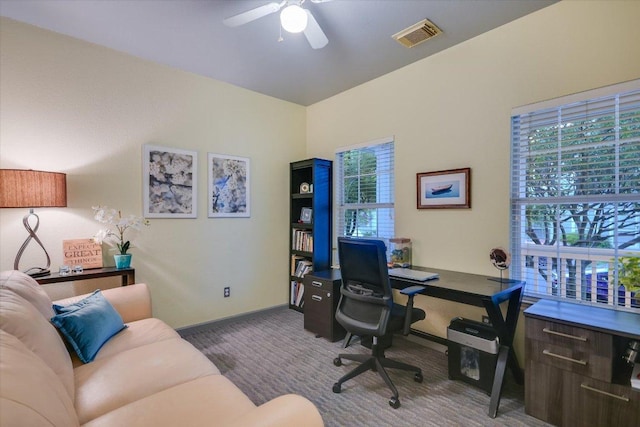2713 Kinney Oaks Ct, Austin, TX 78704 - photo 19