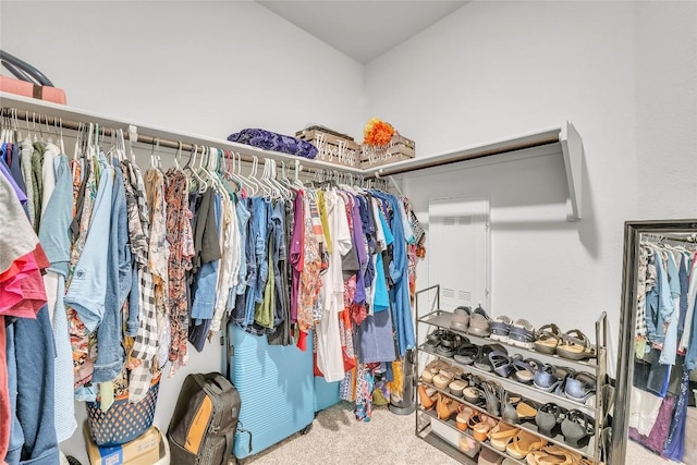 17925 Curio Dr, Pflugerville, TX 78660 - photo 20