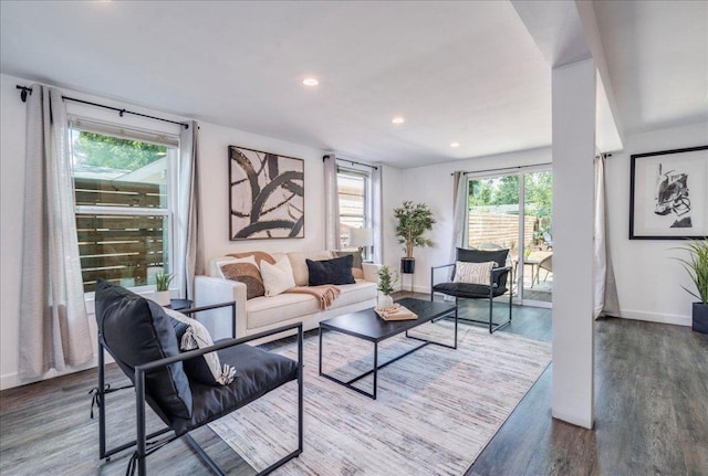 3210 Kay St, Austin, TX 78702 - living room featuring wood finished floors and recessed lighting