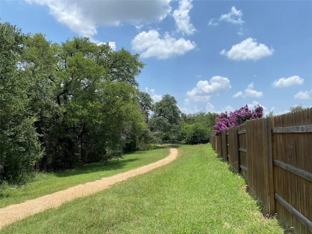 624 Purtis Creek Ln, Georgetown, TX 78628 - view of yard