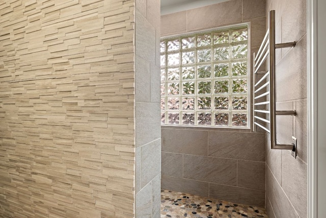 10804 N Canoa Hills Trl, Austin, TX 78717 - bathroom featuring a walk in shower and a towel warmer